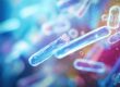 cholera-outbreak-in-nigeria